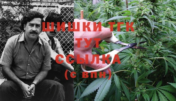 мет Майский