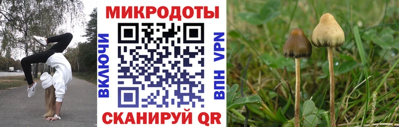 Псилоцибиновые грибы Magic Shrooms  Горячеводский 